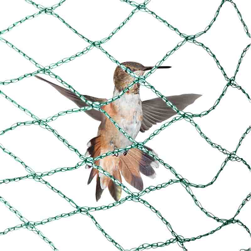 اینٹی برڈ نیٹ کا کیا فائدہ ہے؟