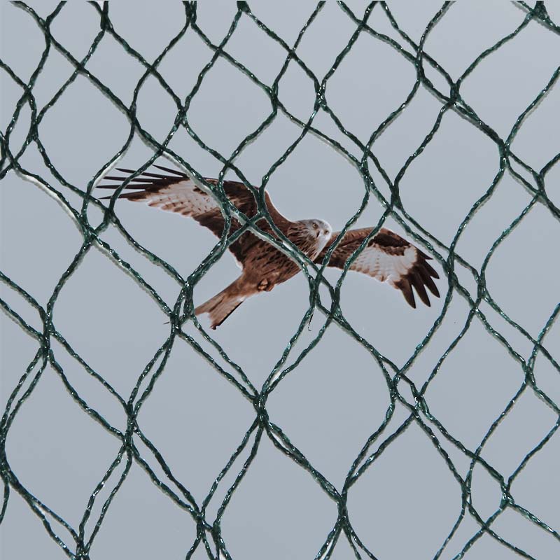 پرندوں سے بچاؤ والے جالوں کے مادی انتخاب اور فوائد اور نقصانات کیا ہیں؟