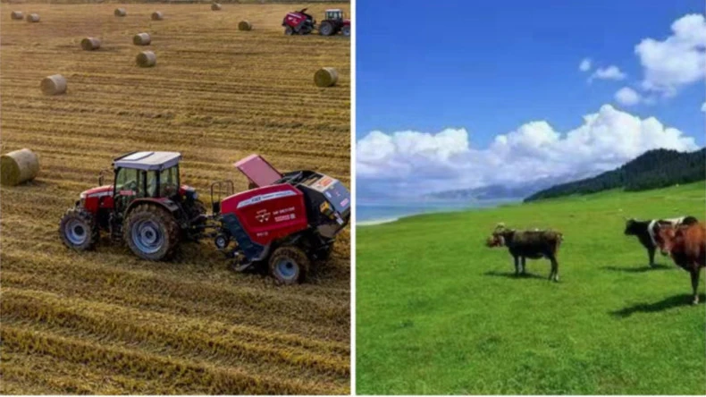 زرعی سرگرمیوں میں گٹھری نیٹ لپیٹ کا اطلاق