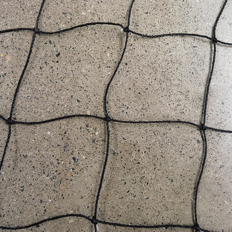 کرکٹ نیٹ کا کردار