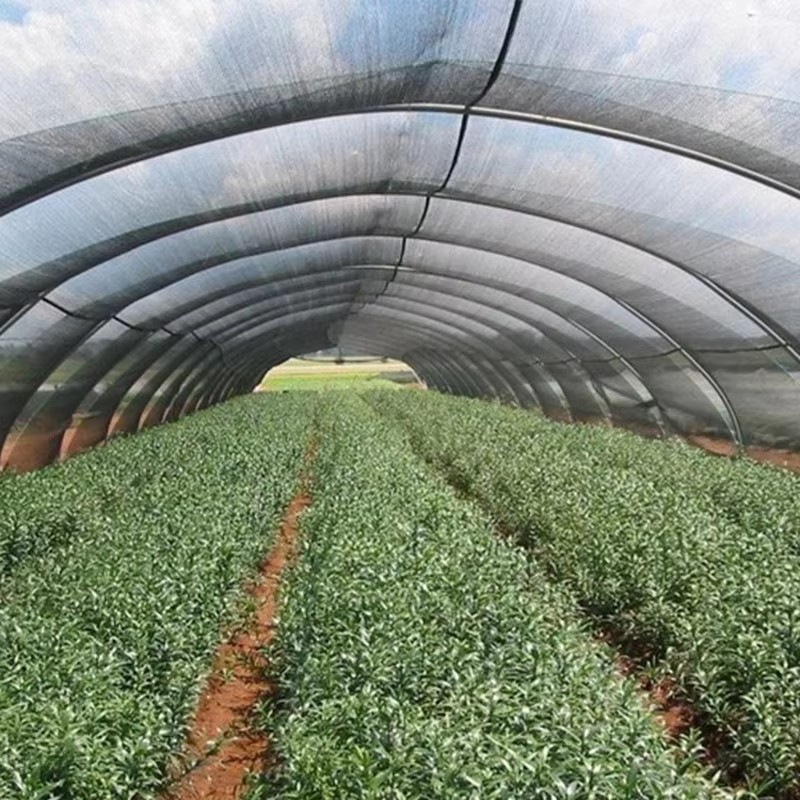 کیا سایہ دار کپڑے کا ٹھنڈا اثر اچھا ہے؟